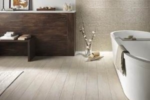 rovere biscotto ambiente